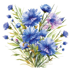 Cornflowers Bouquet Clipart 