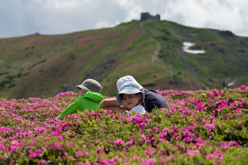 Three children sat down to rest on a lawn with rhododendrons against the background of Mount Pip...