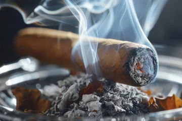 Foto op Plexiglas Smoking cigar on a black background. Cigar close-up. © Dina