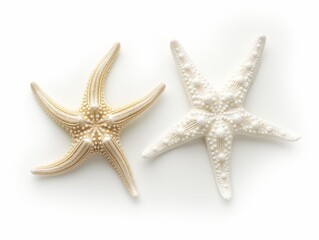 Fototapeta na wymiar Top view of a pair of starfish isolated on white, concept of marine life and nature conservation.