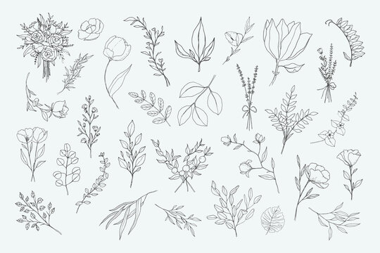 Simple and elegant hand-drawn minimalist floral line art illustrations. Line art flowers, branches, leaves. Plants outlines. Delicate floral and botanical illustrations for logos and weddings.
