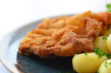 traditional Czech food, fried pork steak, close-up view, served on a plate