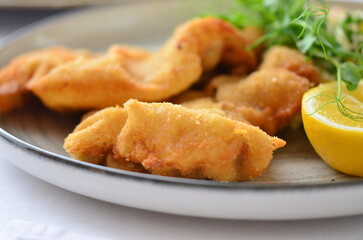 traditional Czech food, fried pork steak, close-up view, served on a plate