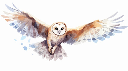Owl flying. Barn owl on white background. Watercolor