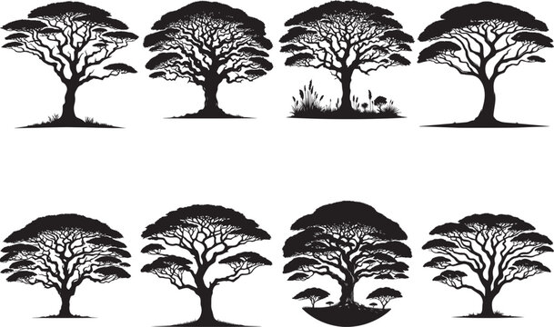 Acacia Tree Silhouettes EPS Acacia Vector Acacia Clipart