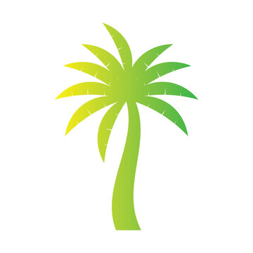 Gradient Palm Tree