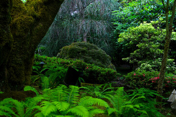 Japanese garden The famous gardens of Butchert on Victoria Island. Canada. The Butchart Gardens