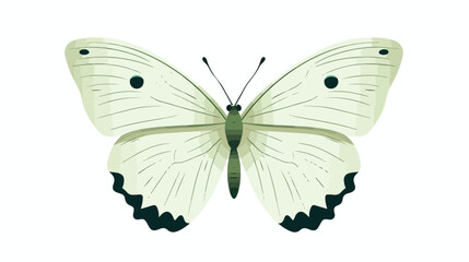 Fototapeta na wymiar White butterfly called Cabbage Butterfly or Cabbage