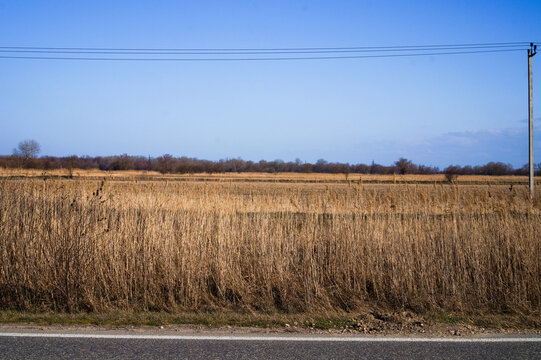Wheat field near an asphalt road under a blue sky. The image is stylized to resemble photographic film 