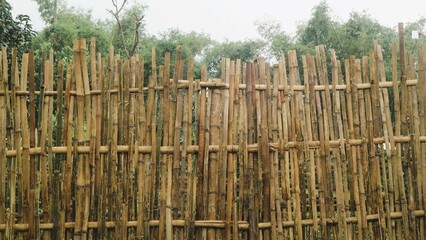 Traditional fence made from bamboo, textured pattern background