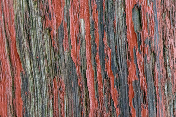 Struktura tło, stare drewniane drzwi w zbliżeniu makro z których schodzi czerwona farba