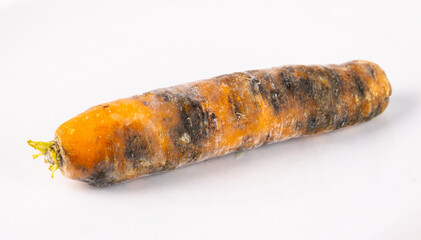 Fungus on a carrot, isolated on a white background.