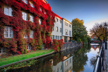 The autumn scenery of Gdansk at sunrise with a wall covered with red ivy leaves. Poland - 762123921