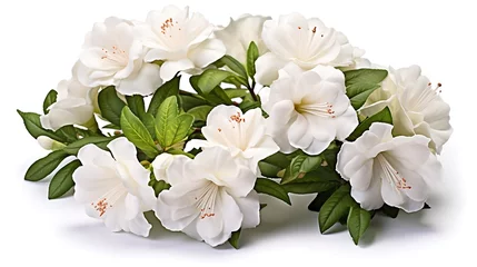 Zelfklevend Fotobehang Azaleas flowers with leaves, White flowers isolated on white background with clipping path © Afaq