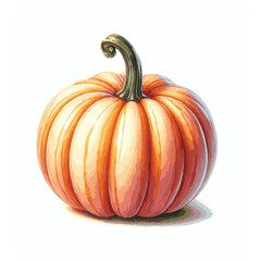 pumpkin watercolor isolated on white background