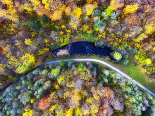 Aerial drone view over beautiful autumn forest landscape. Colourful trees in the wood. - 762134151