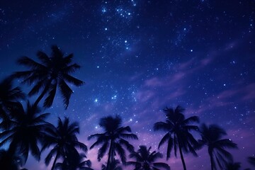 Mysterious Palm tree night dark. Way year. Generate Ai