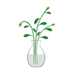 Hand drawn summer wild floral plant, stems in water. Spring flowers in glass vase. Delicate blooms, beautiful field wildflowers in glass jug isolated. Element of interior decor. Colored flat vector 