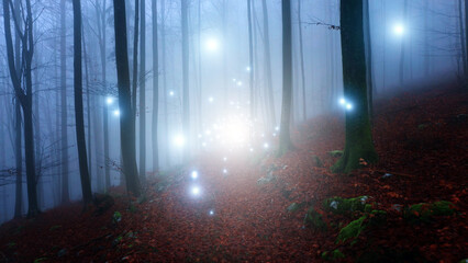 Fairytale foggy forest landscape with road and glowing fireflies.