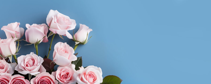 Bunch of Roses Isolated on Blue Background with Copy Text Space Panorama. Generative AI