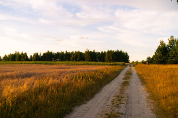 road in the field