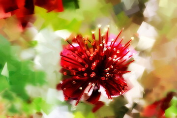 Photo painting, illustrated photo with oil painting effect. feijoa flower,