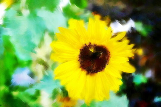 Photo painting, illustrated photo with oil painting effect. yellow dahlia flower,