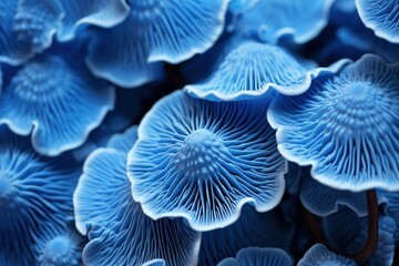 Exquisite Blue mushroom closeup background. Water glow. Generate Ai