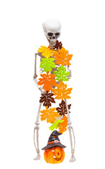 skeleton for Halloween holiday isolated