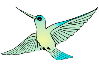 Yellow-blue bird with azure back and tail for Happy Earth Day. A flying hummingbird with outstretched fan-shaped wings and a curved long beak. Color digital illustration for World Migratory Bird Day.