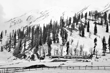 Metal fence, Snow landscape, Kungdoor, Gulmarg, Baramulla, Kashmir, Jammu and Kashmir, India, Asia