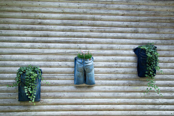 Upcycling and recycling concept - old jeans are now used as planting pots - 762162762
