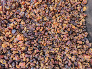 Dates for sale in the Nizwa Souq, Nizwa, Oman