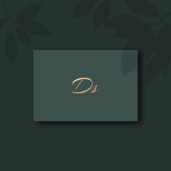 Ds logo design vector image