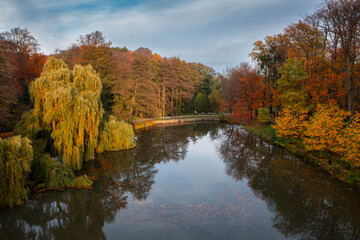 Beautiful autumn in the park of Gdansk Orunia. Poland - 762170980