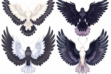 With black and white feathers, these fairy, butterfly, bird and angel wings represent magic and fantasy characters and animals.