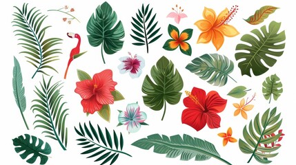 A tropical collection of exotic flowers and leaves isolated on white background. Modern design. - obrazy, fototapety, plakaty