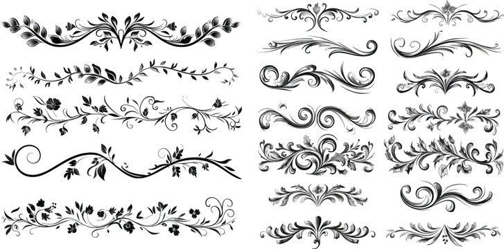 Curly branches. Swirly design elements, antique decor