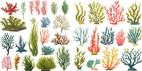 Cartoon ocean plants - 762175132