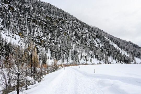 Samedan, Wanderweg, Winterlandschaft, Flaz, Fluss, Oberengadin, Langlauf, Langlaufloipe, Inn, Inntal, Bever, Alpen, Graub&uuml;nden, Winter, Schweiz