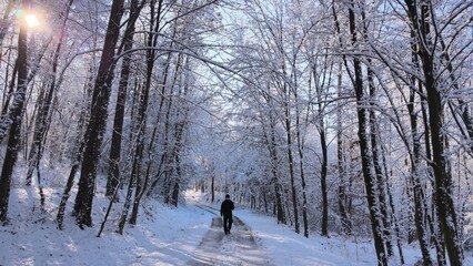 Man walking through winter snowy forest on country road, aerial follow view
