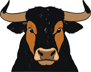 Vector illustration of a bull's face