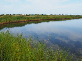 Naturreservat auf Falsterbo - Schweden