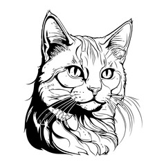 Black and white drawing of a cat.