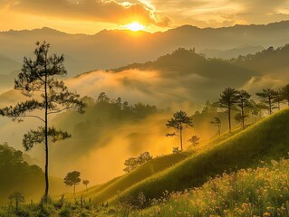 Dawn in the Mountains: Golden Light Illuminates Misty Valleys - Nature Awakens to Tranquil Dawn in Mountain Sunrise - Witness the breathtaking beauty of a mountain sunrise, where golden light 