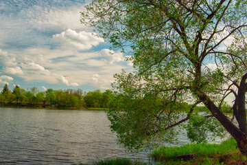 Fototapeta na wymiar view of beautiful spring forest lake