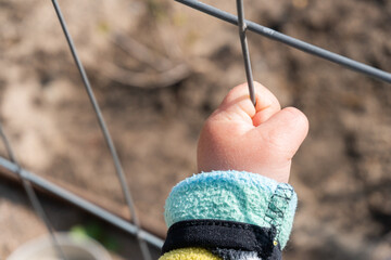 A child’s hand holding a fence