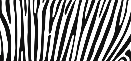 Fototapeten Cartoon black and white safari zebra, line pattern. Zebra print, animal skin, tiger stripes sign. Africa, animal texture wave. jungle patroon. © MarkRademaker