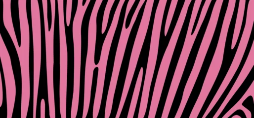 Fototapeten Cartoon pink or rose safari zebra, line pattern. Zebra print, animal skin, tiger stripes sign. Africa, animal texture wave. jungle patroon. © MarkRademaker