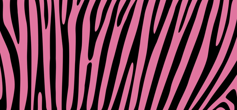 Cartoon pink or rose safari zebra, line pattern. Zebra print, animal skin, tiger stripes sign. Africa, animal texture wave. jungle patroon.